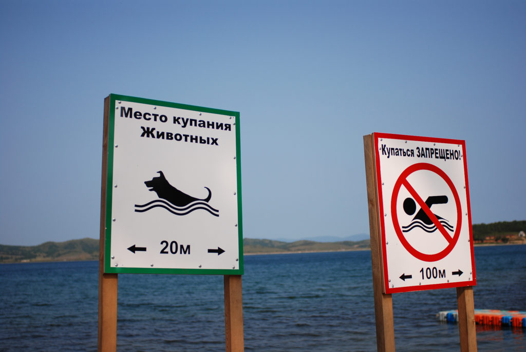 Где-то на пляже в Славянке