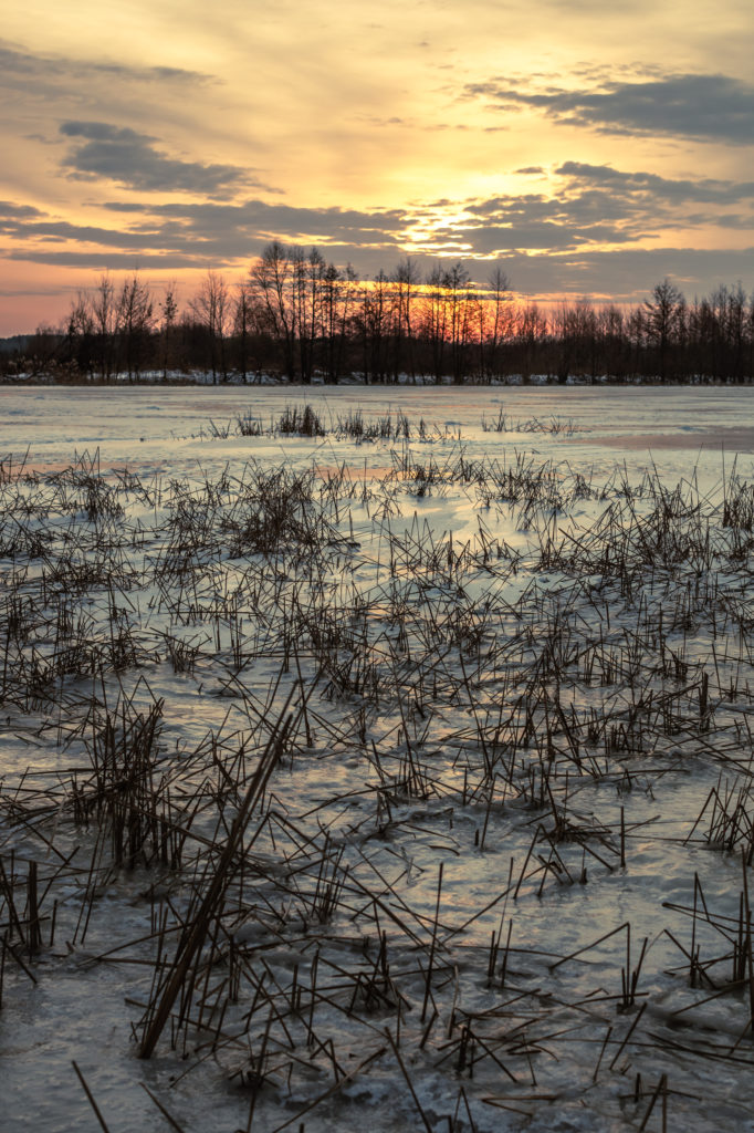 Рассвет в Добром Sony α3500 MF 7Artisans 35mm f/2 Leica M