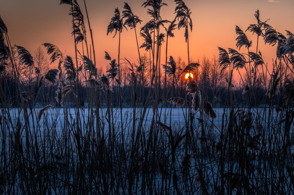 Рассвет на реке Воронеж Sony α3500 18-50 mm