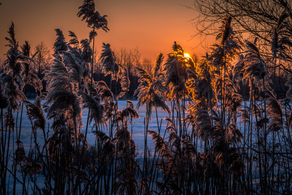 Рассвет на реке Воронеж Sony α3500 18-50 mm