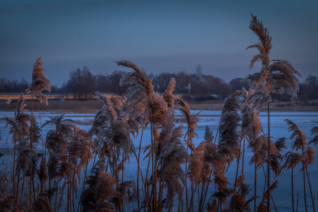 Рассвет на реке Воронеж Sony α3500 18-50 mm