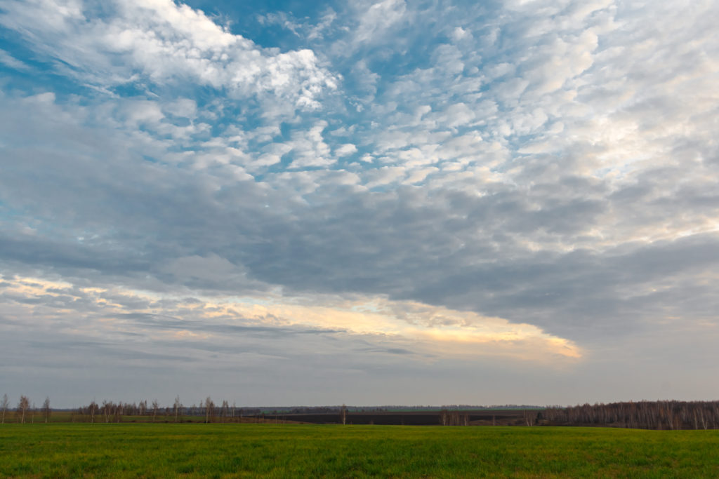 Вечер поздней осенью в Липецких полях Sony α65 Sigma 20mm
