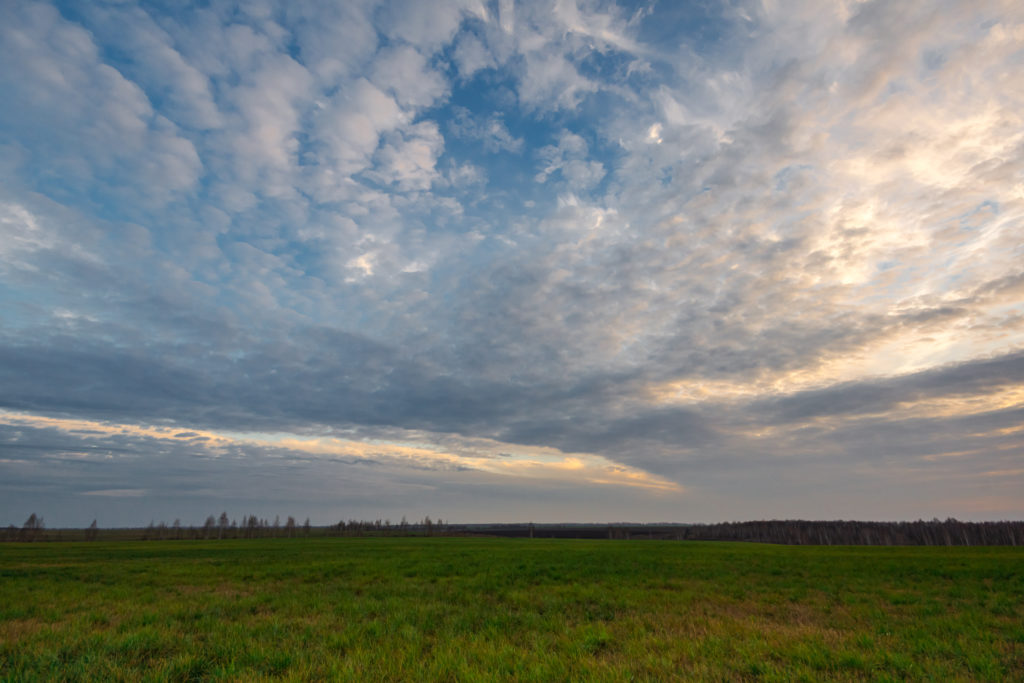 Вечер поздней осенью в Липецких полях Sony α65 Sigma 20mm