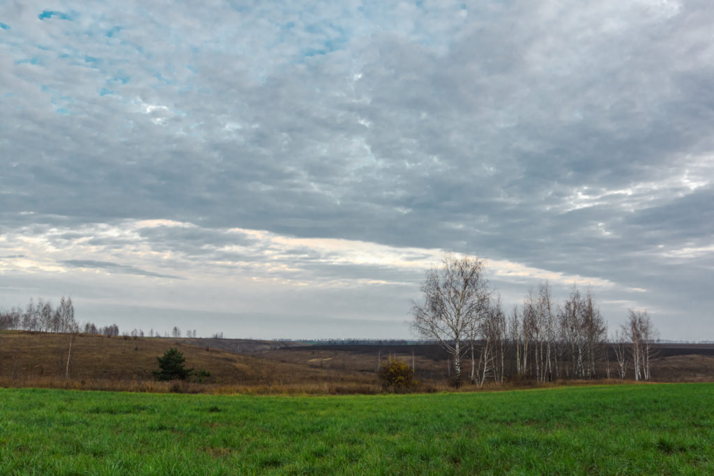 Вечер поздней осенью в Липецких полях Sony α65 Sigma 20mm