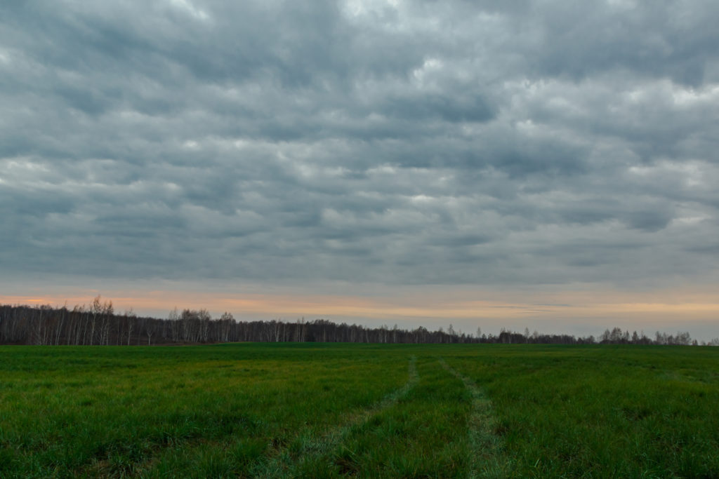 Вечер поздней осенью в Липецких полях Sony α65 Sigma 20mm