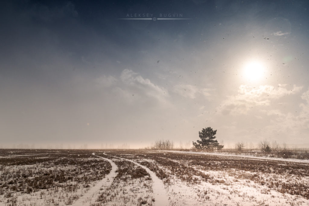 Мартовская пурга Sony a65 Sigma 20mm