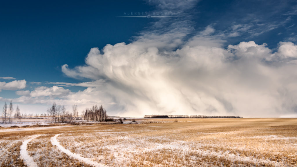 Мартовская пурга Sony a65 Sigma 20mm