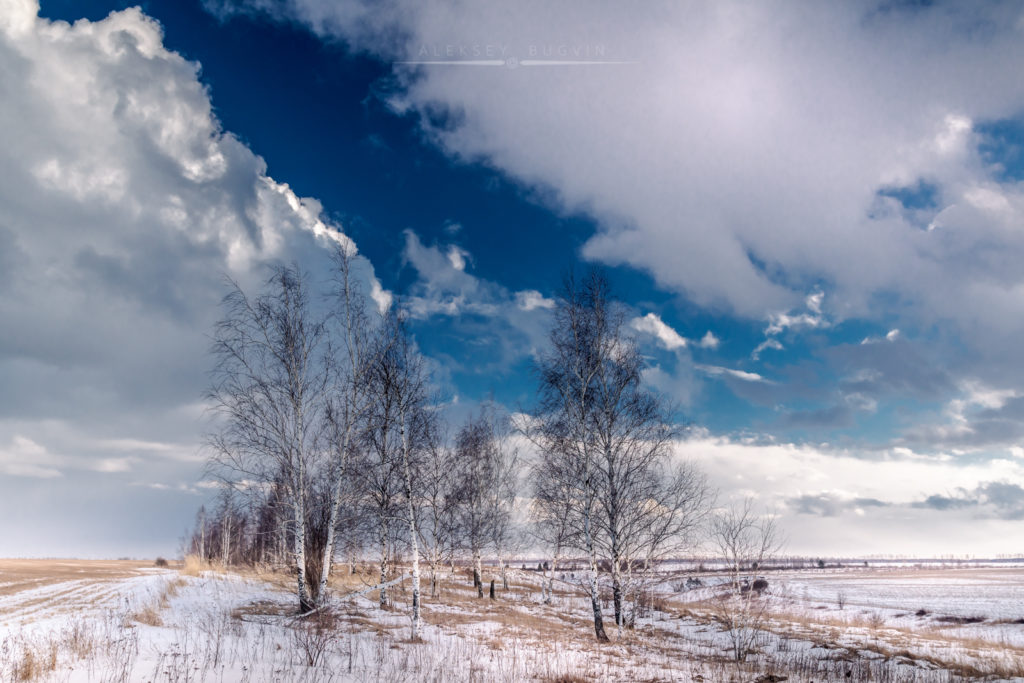 Мартовская пурга Sony a65 Sigma 20mm